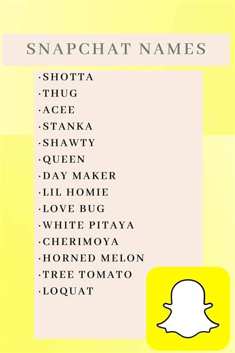 snapchat namen|207+ Unique Snapchat Username Ideas for Everyone